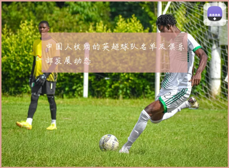 中国人收购的英超球队名单及俱乐部发展动态