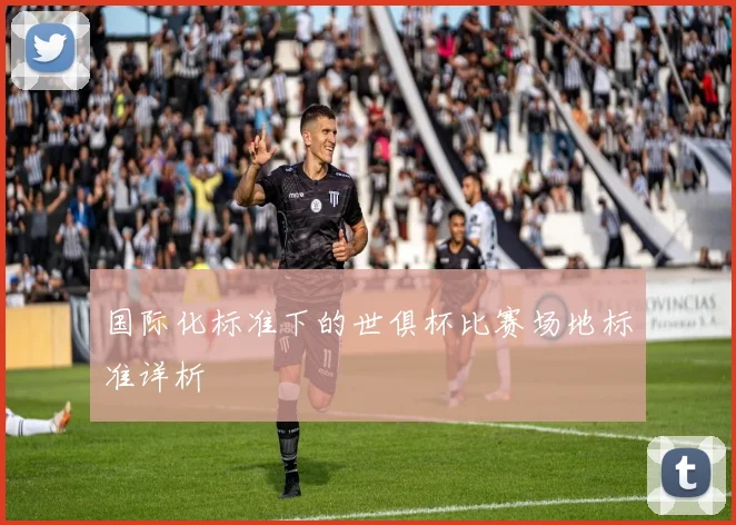 国际化标准下的世俱杯比赛场地标准详析