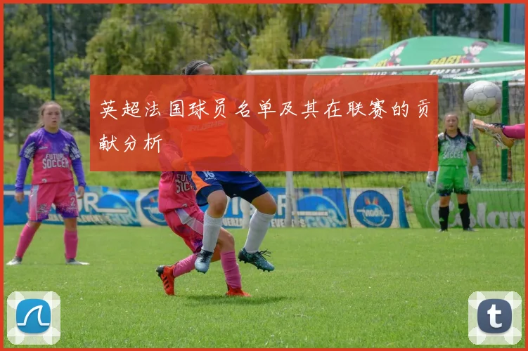 英超法国球员名单及其在联赛的贡献分析