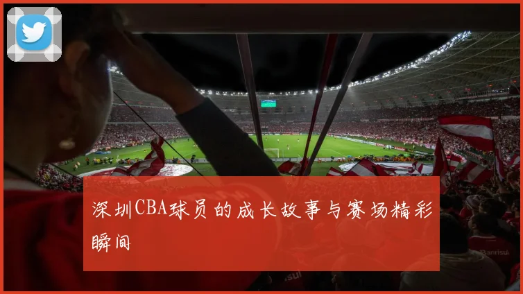 深圳CBA球员的成长故事与赛场精彩瞬间