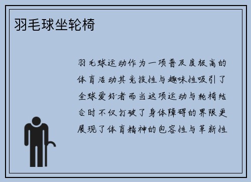 羽毛球坐轮椅